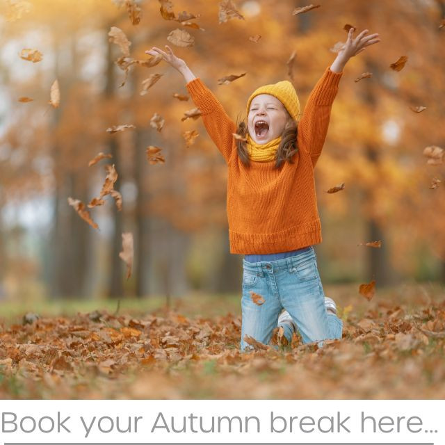 Autumn 2024 Special Offers - Click here for more information and to book now!