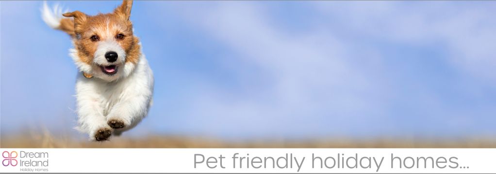 Pet Friendly Irish Holiday homes 2024